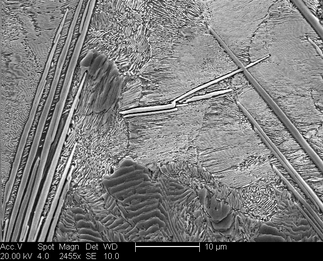 /static/micrographs/micrograph911.png