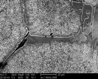 /static/micrographs/micrograph912.png