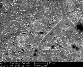 /static/micrographs/micrograph914.png