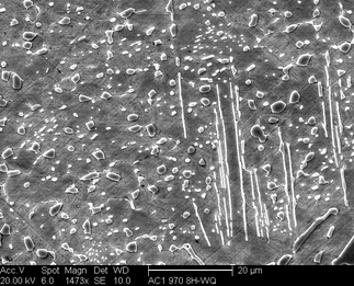 /static/micrographs/micrograph915.png