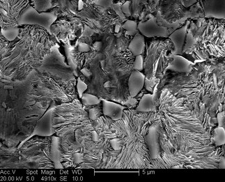 /static/micrographs/micrograph916.png