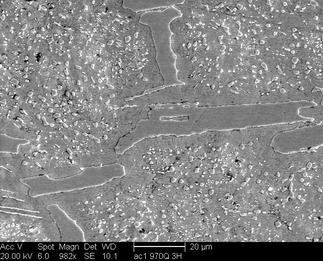/static/micrographs/micrograph917.png