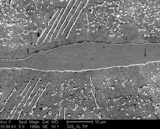 /static/micrographs/micrograph918.png