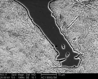 /static/micrographs/micrograph920.png
