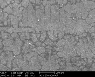 /static/micrographs/micrograph921.png