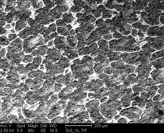 /static/micrographs/micrograph925.png