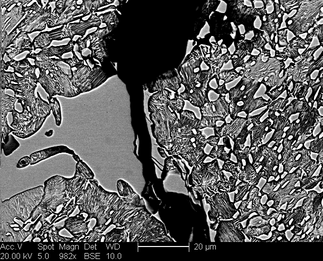 /static/micrographs/micrograph926.png