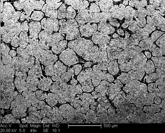 /static/micrographs/micrograph927.png