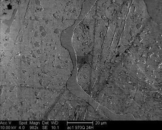 /static/micrographs/micrograph931.png