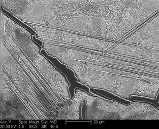 /static/micrographs/micrograph932.png