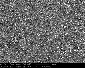 /static/micrographs/micrograph933.png