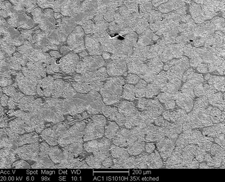 /static/micrographs/micrograph934.png