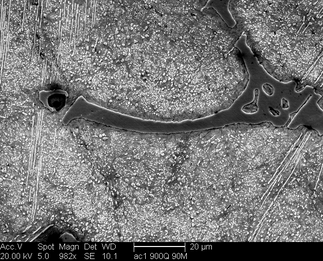 /static/micrographs/micrograph935.png