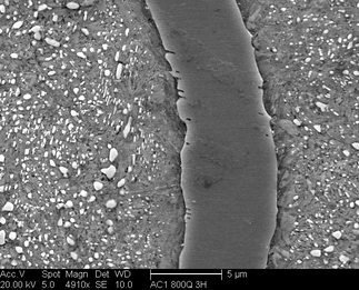 /static/micrographs/micrograph936.png