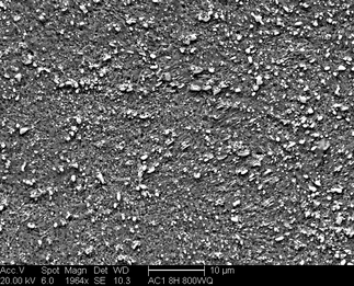 /static/micrographs/micrograph939.png