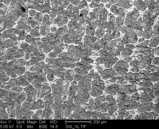 /static/micrographs/micrograph941.png