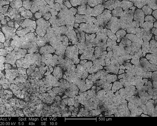 /static/micrographs/micrograph949.png
