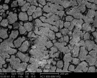 /static/micrographs/micrograph95.png