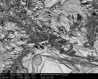 /static/micrographs/micrograph951.png