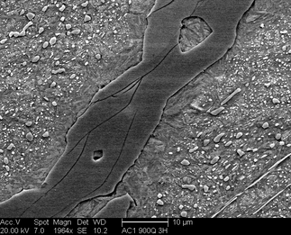 /static/micrographs/micrograph952.png