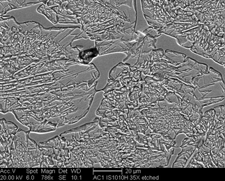 /static/micrographs/micrograph954.png
