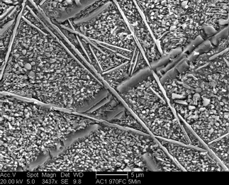 /static/micrographs/micrograph955.png