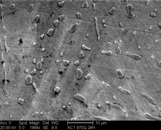 /static/micrographs/micrograph956.png