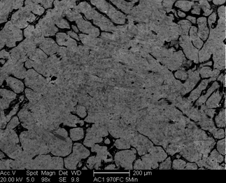 /static/micrographs/micrograph959.png