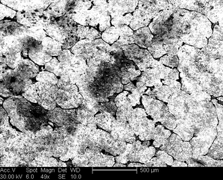 /static/micrographs/micrograph961.png