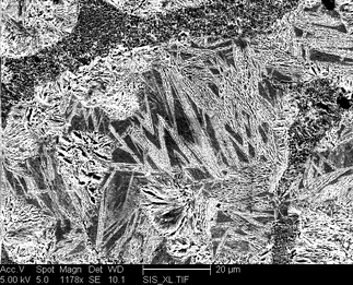/static/micrographs/micrograph963.png