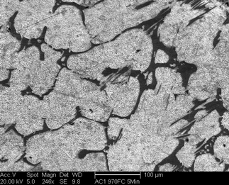 /static/micrographs/micrograph965.png