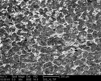 /static/micrographs/micrograph968.png