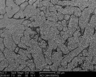 /static/micrographs/micrograph97.png