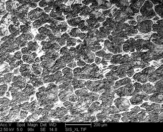/static/micrographs/micrograph971.png