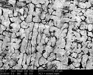 /static/micrographs/micrograph973.png