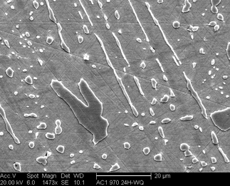 /static/micrographs/micrograph974.png