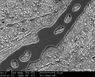 /static/micrographs/micrograph98.png
