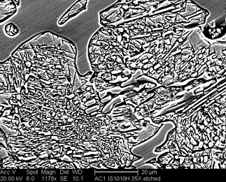 /static/micrographs/micrograph984.png