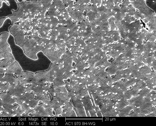 /static/micrographs/micrograph986.png