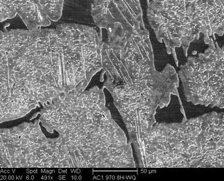 /static/micrographs/micrograph989.png