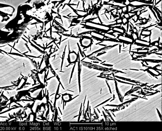 /static/micrographs/micrograph99.png