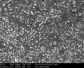 /static/micrographs/micrograph990.png