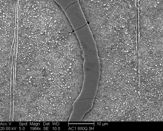 /static/micrographs/micrograph991.png