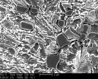 /static/micrographs/micrograph994.png