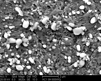 /static/micrographs/micrograph998.png