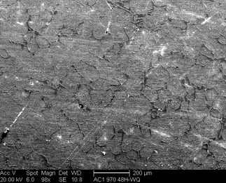 /static/micrographs/micrograph999.png
